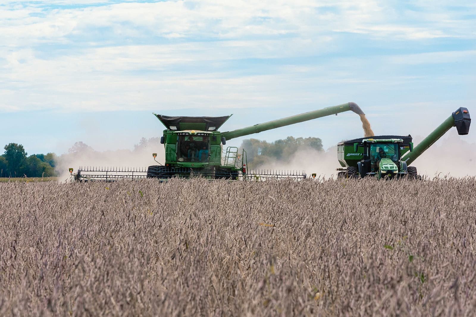 A combine unloading soybeans into a grain cart during harvest in Indiana